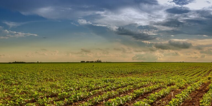 Pesquisa do Goiás Verde aponta que agro goiano pode ser sustentável